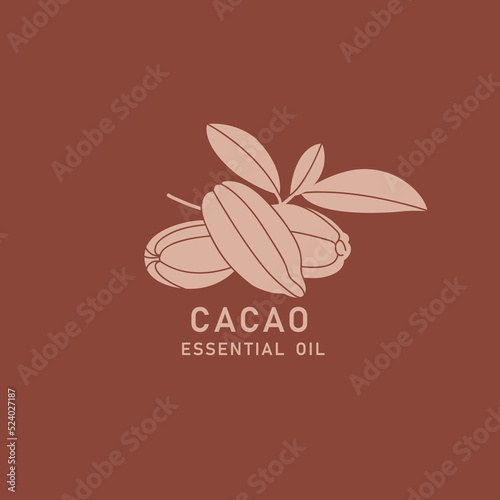 Vector packaging design element and icon in linear style - cocoa oil - healthy vegan food. Logo sign.