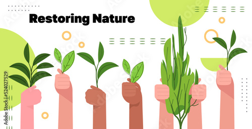 carbon credit concept hands holding green plants responsibility of co2 emission environmental conservation restoring nature