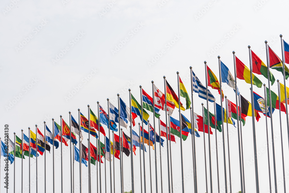 national flag