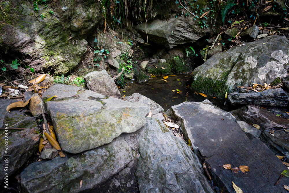 A natural ground water source in the jungles of upper himalayan region of Uttarakhand India.
