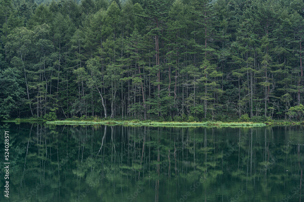 Obraz premium 緑響く御射鹿池