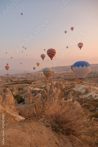 Landscape of hot air balloons