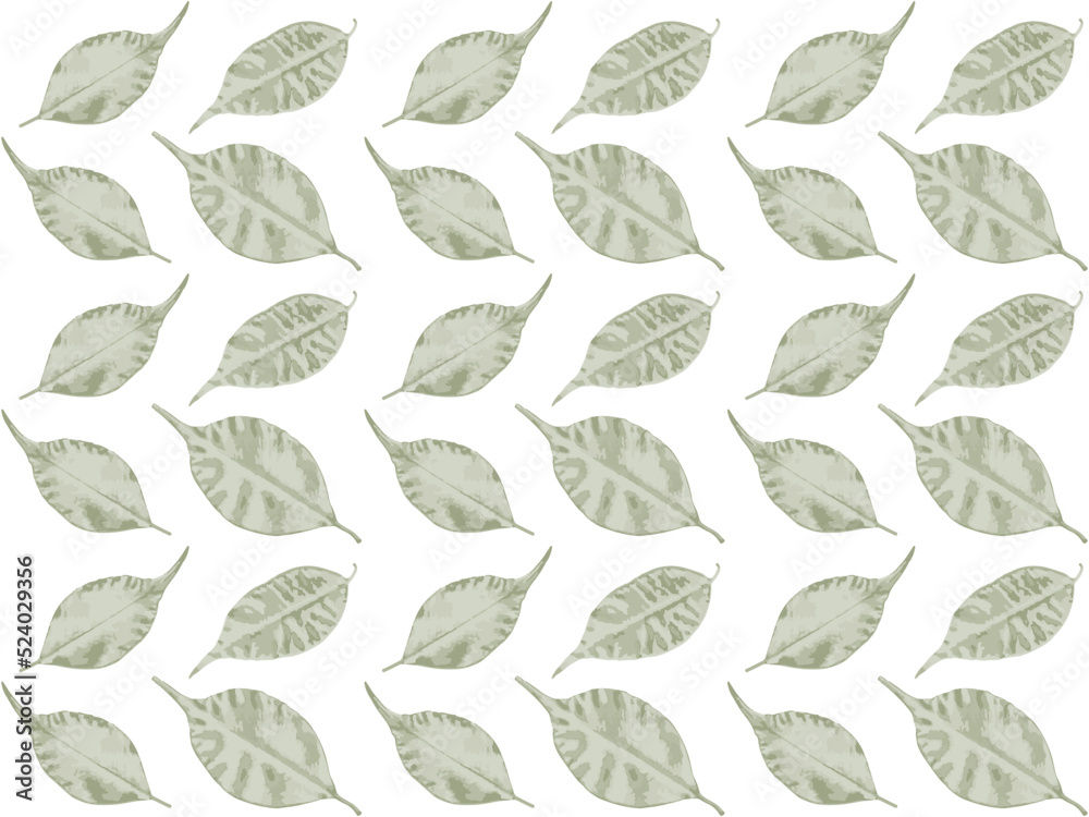 The weeping ficus floral seamless pattern. Background green. Modern wallpaper for different design. Vector illustration.

