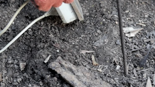 Wallpaper Mural Extraction of worms by electric current, at 220 volts. Dig up or lure worms out of the soil without a shovel. Worms in black soil for fishing bait or composting. Torontodigital.ca