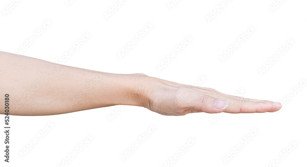 Male hand gestures isolated on transparent background - PNG format. Male hand gestures isolated on transparent background - PNG format.