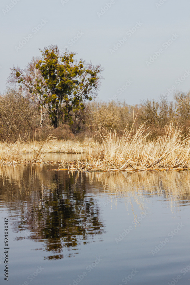 Dnipro river by the spring time Dnipro river by the spring time