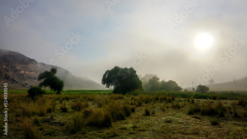 Camping in the nature waking up into a misty sunrise