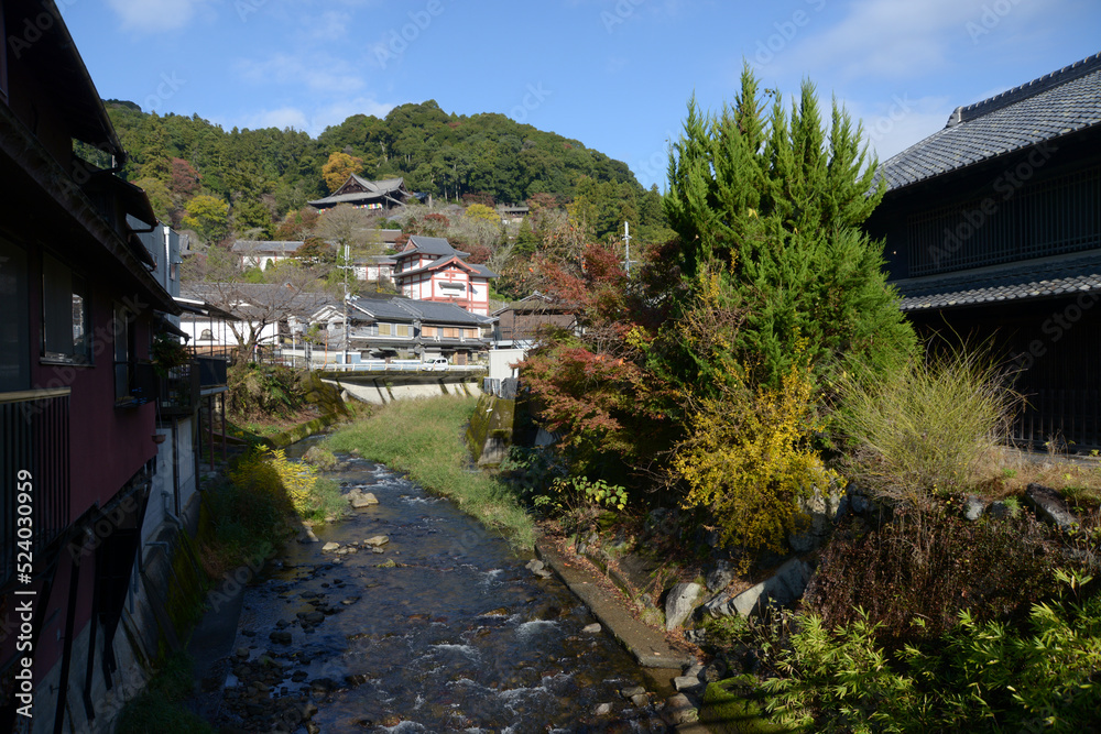 Fototapeta premium 秋の長谷寺 初瀬川から本堂遠望 奈良県桜井市初瀬