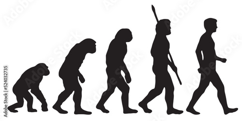 Fototapeta Darwin's evolution of the human