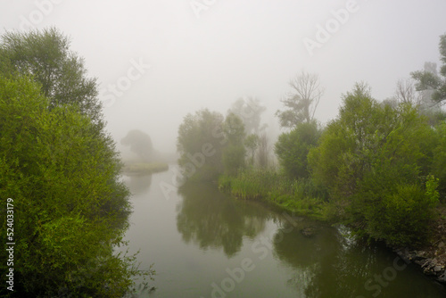 Camping in the nature waking up into a misty sunrise