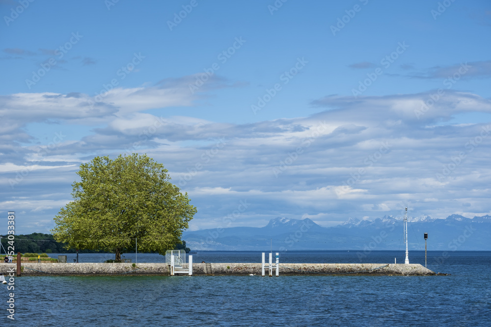 shore of Lake Geneva in Nyon canton of Vaud in Switzerland