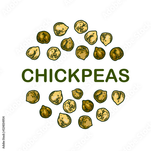 Colorful chickpeas design. Hand drawn illustration in colored sketch style. Botany design for packaging, label, banner, logo