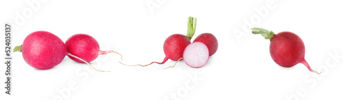 Set with fresh ripe radishes on white background. Banner design