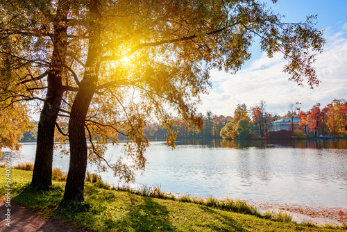 Autumn foliage and Grand pond in Catherine park, Pushkin (Tsarskoe Selo), Saint Petersburg, Russia