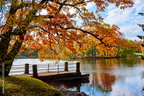 Autumn foliage in Catherine park, Pushkin (Tsarskoe Selo), Saint Petersburg, Russia