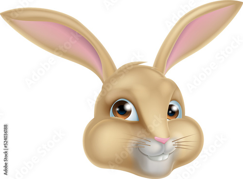 Cute Cartoon Bunny Rabbit