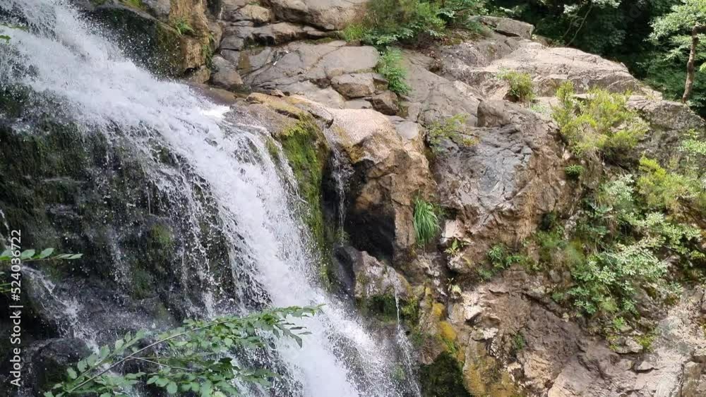 waterfall in the forest
