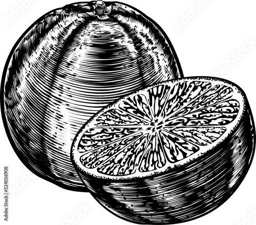 Vintage Woodcut Sliced Orange
