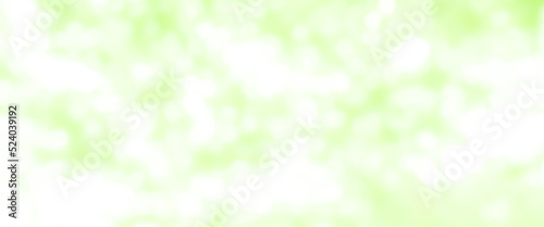 nature green blurred background with abstract bokeh background © arwiyada