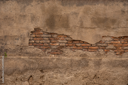 Crepe su muro in mattoni vecchio