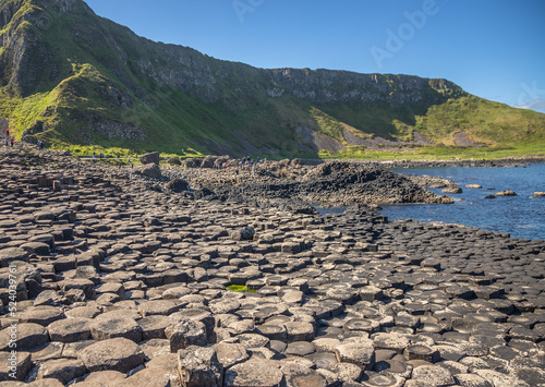 Beautiful Exposure of Giant's Causeway UNESCO World Heritage Site, is an area of about 40,000 interlocking hexagonal basalt columns, the result of an ancient volcanic fissure eruption. It is located i