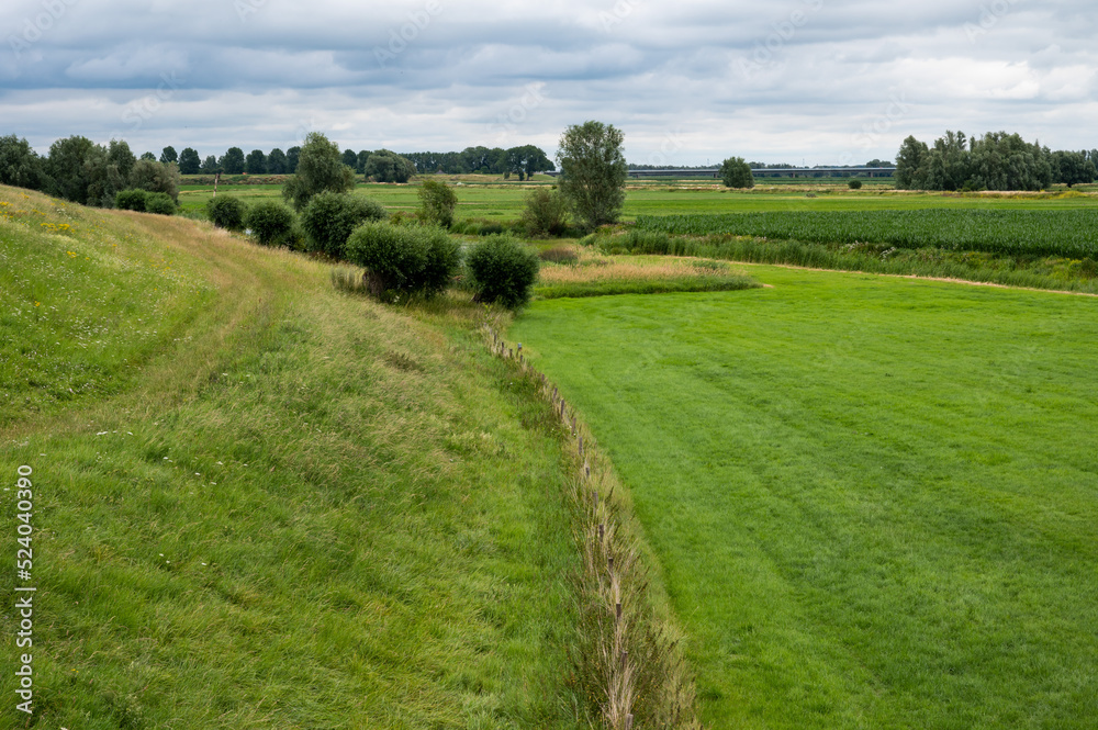 Green agriculture fields at the Dutch countryside around Tiel