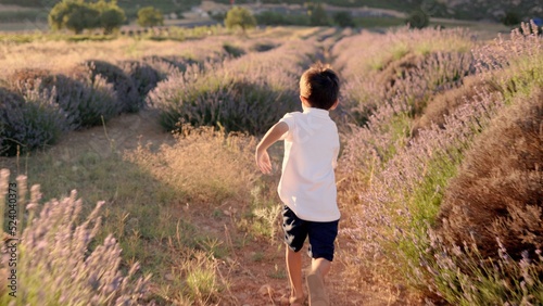 Rear view of happy kid is running through lavender fields 