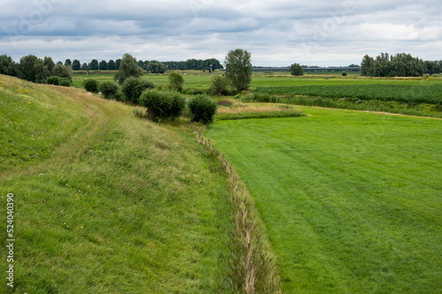 Green agriculture fields at the Dutch countryside around Tiel