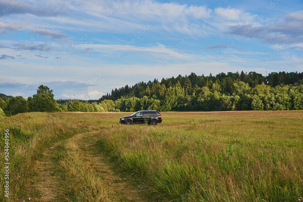 A big black car stands in a green field .