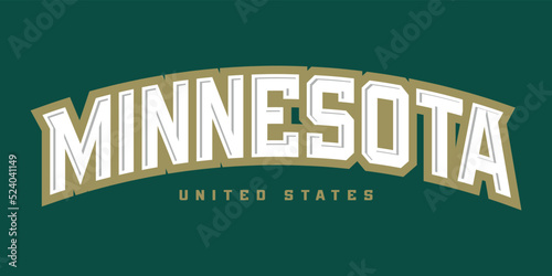 T-shirt stamp logo, USA Sport wear lettering Minnesota tee print, athletic apparel design shirt graphic print