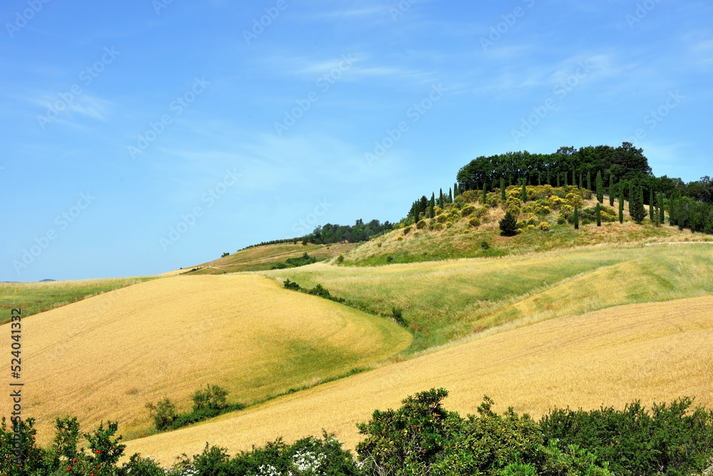 panorama of the Tuscan hills near Lajatico Italy