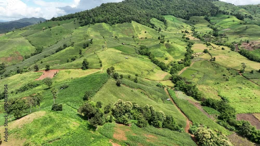 The Biggest Cause Of Forest Loss In Thailand Is Agricultural