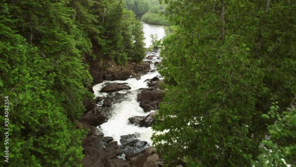 Rushing River between trees on both sides on a nice summer day, Aerial forwarding shot Rushing River between trees on both sides on a nice summer day, Aerial forwarding shot