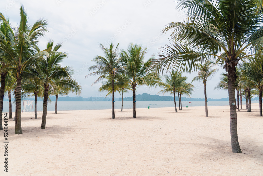 Beautiful wedding decorations along sandy beach with palm trees and mountains background in Ha Long Bay, Quang Ninh, Vietnam Beautiful wedding decorations along sandy beach with palm trees and mountains background in Ha Long Bay, Quang Ninh, Vietnam