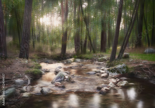 fotografia artistica con desenfoque de movimiento, en bosque con rio en  Valsain, Segovia, España photo