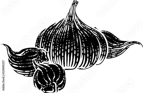 Garlic Vegetable Vintage Wo...
