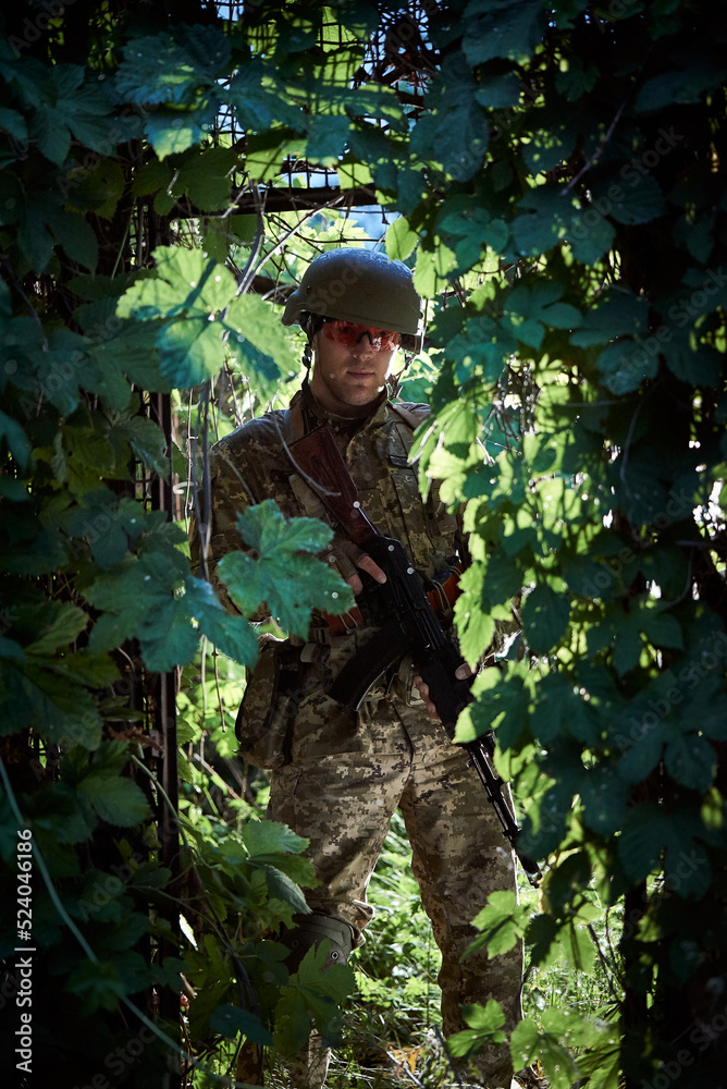 Soldier of the Ukrainian army in military uniforms in the forest