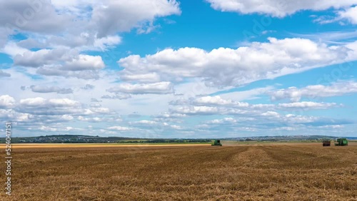 Wheat harvesting