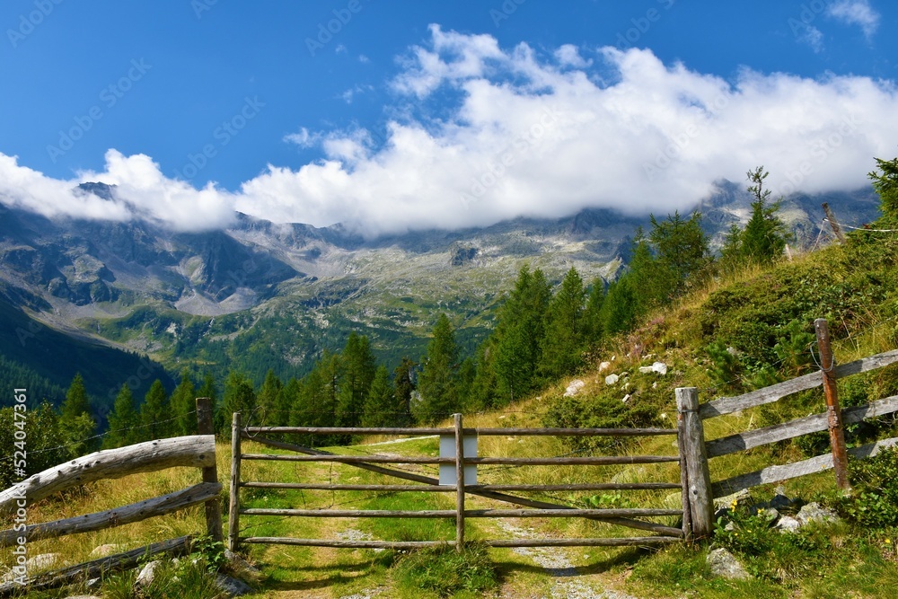 Wooden door and a fence on a mountain road in High Tauern mountains in Carinthia, Austria with Tristenspitze mountain