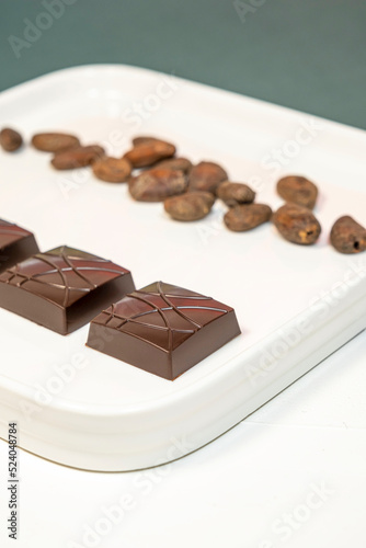 Handmade bitter chocolates on white plate with cocoa beans on green background.