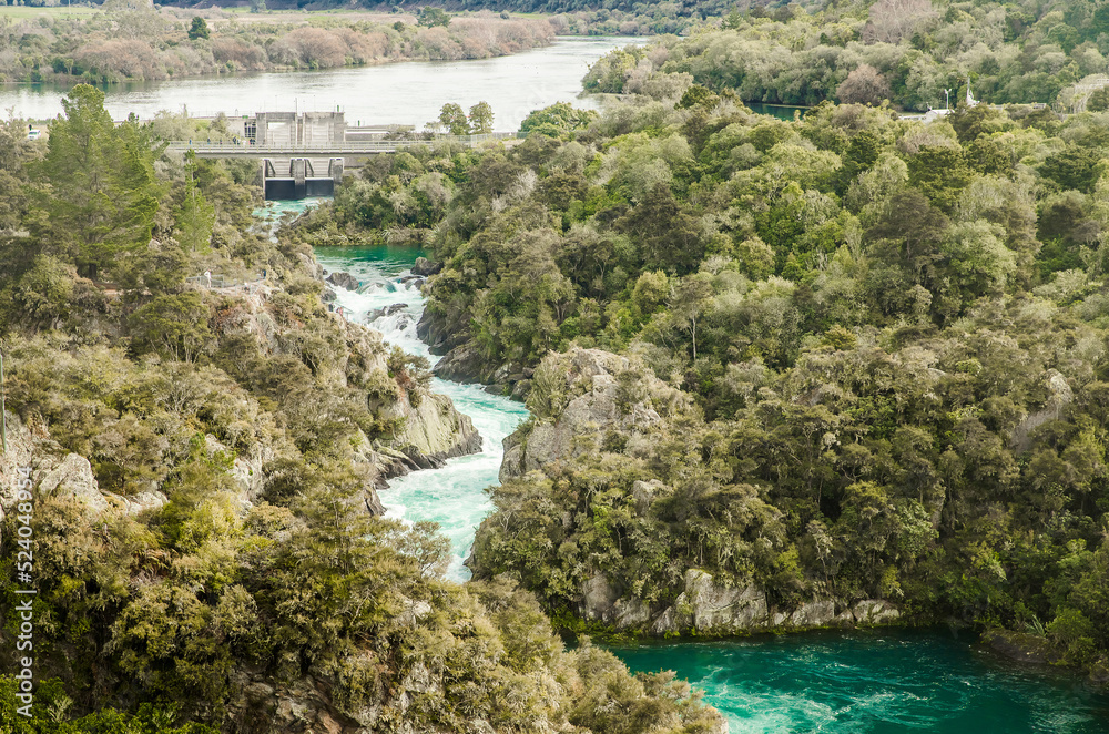water rapids and dam, forest background, water power, taupo, new zealand
