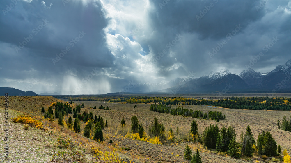 Naklejka premium Scenic View of the Grand Teton National Park