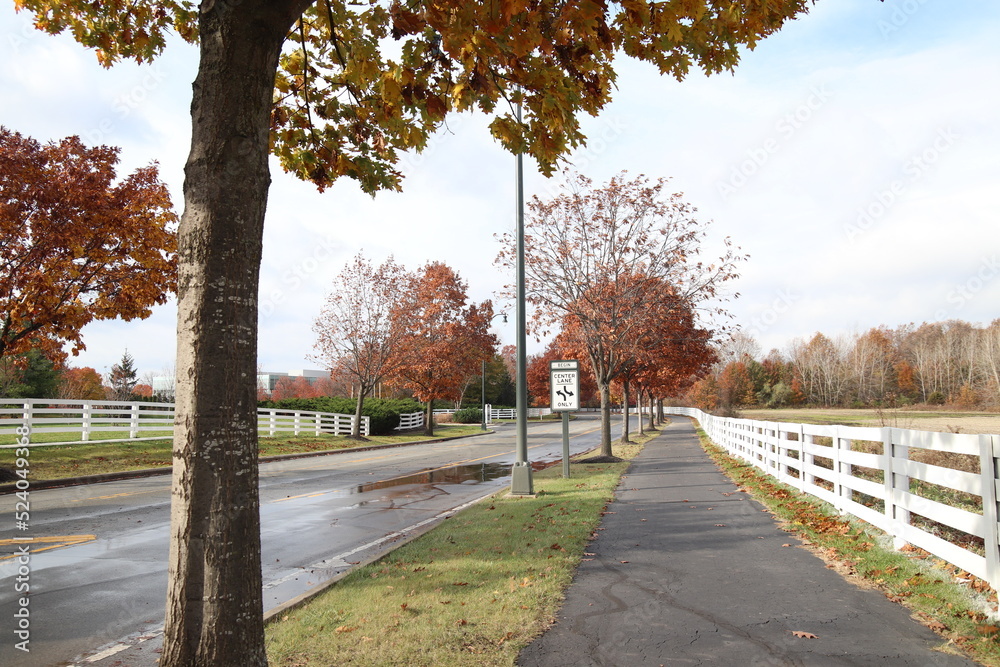 Fototapeta premium Fall in New Albany, Ohio 