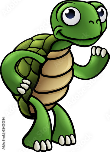 Tortoise Cartoon Character