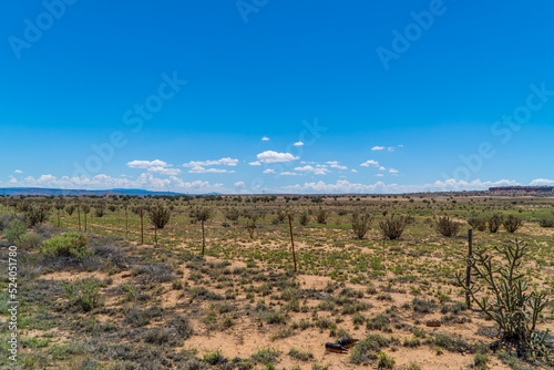 Panoramic shot the desert of Canoncito in New Mexico, USA photo