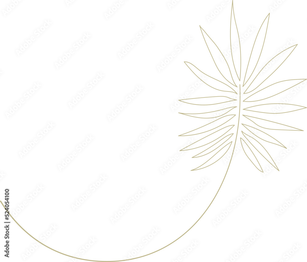 palm leaf illustration palm leaf illustration
