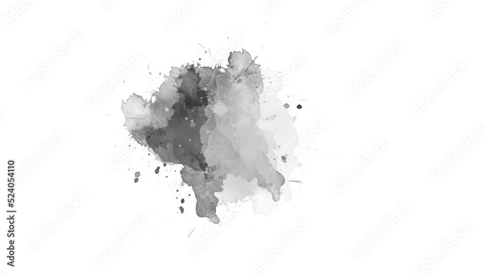ink drop splatter compositing. watercolor black ink splatter compositing. Abstract ink splatter transition. ink brush stroke, fluid art background, overlay, alpha matte composition.