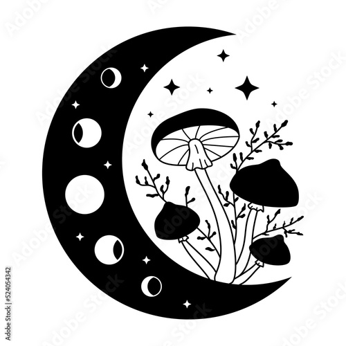 Mystical mushrooms and crescent moon clipart. Magic line celestial mushrooms. Boho witchy doodle design element.