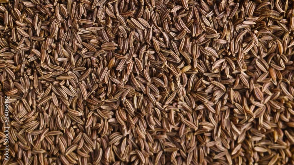 dried Carawan seeds background dried Carawan seeds background