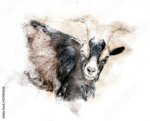 brown black billy goat with horns in watercolor with splashes and swooshes